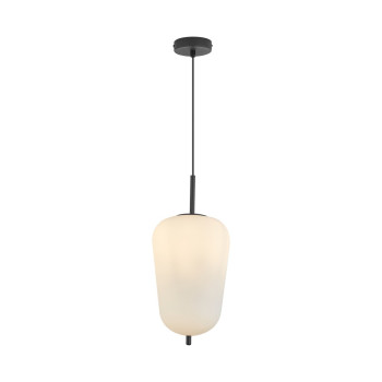 ΦΩΤΙΣΤΙΚΟ ΚΡΕΜΑΣΤΟ S011R 1XE27 OPL BLK BRAYTRON