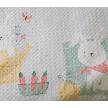 ΚΟΥΒΕΡΤΑ ΒΑΜΒ ΠΙΚΕ PIC NIC TOGETHER 80X110