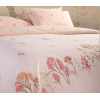 ΣΕΤ ΣΕΝΤΟΝΙΑ ΔΙΠΛΑ FRAGESCA 200Χ270 NEF-NEF HOMEWARE