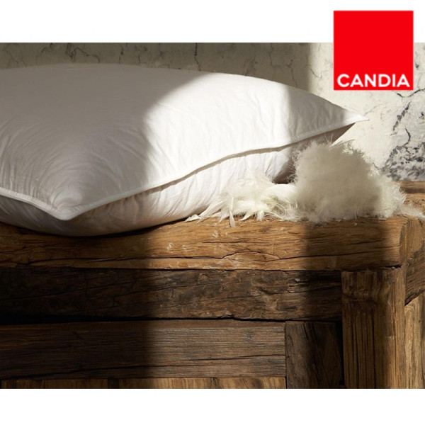FEATHER & DOWN PILLOW 50x70cm