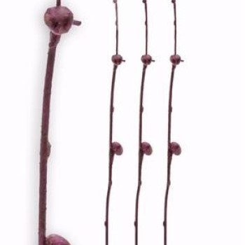 ΚΛΑΡΙ ME ΒΟΛΒΟΥΣ ΣΕ ΜΩΒ ΧΡΩΜΑ,90CM
