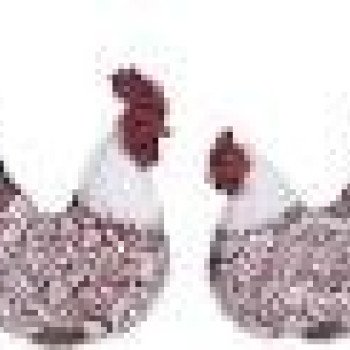 INART S/2 ΚΟΤΑ/ΚΟΚΚΟΡΑΣ POLYRESIN ΚΟΚΚΙΝΟ 24X12X22