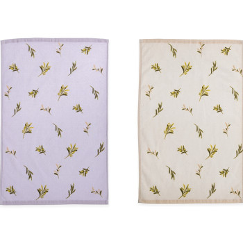 ΠΟΤΗΡΟΠΑΝΟ ΒΕΛΟΥΤΕ OLIVE 40Χ60 NEF-NEF HOMEWARE