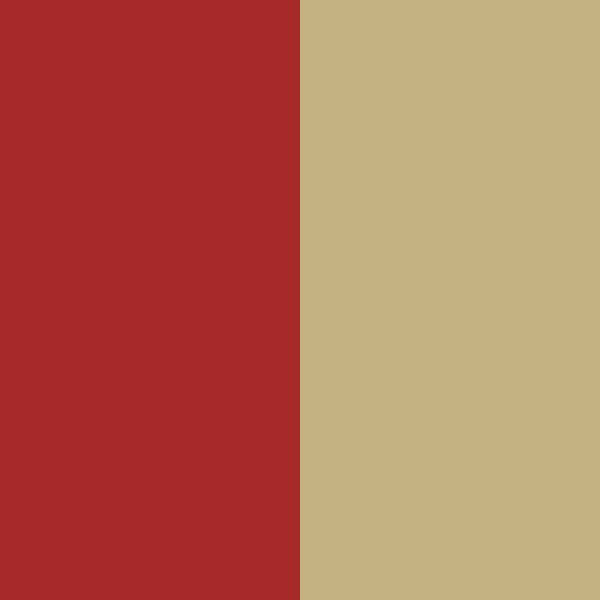 BROWN/ECRU
