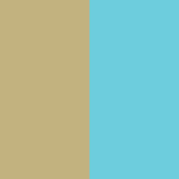 ECRU/AQUA