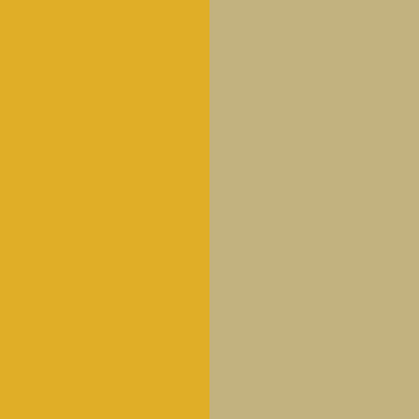 MUSTARD/ECRU