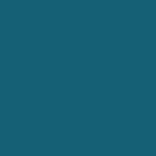 PETROL 