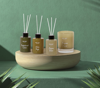 ΑΡΩΜΑΤΙΚΟ ΧΩΡΟΥ ΣΤΙΚΣ OLIVE SAGE 130ml