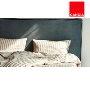 &#x395;&#x3B9;&#x3BA;&#x3CC;&#x3BD;&#x3B1; &#x3B3;&#x3B9;&#x3B1; &#x3C4;&#x3B7;&#x3BD; &#x3BA;&#x3B1;&#x3C4;&#x3B7;&#x3B3;&#x3BF;&#x3C1;&#x3AF;&#x3B1; &#x39B;&#x395;&#x3A5;&#x39A;&#x391; &#x395;&#x399;&#x394;&#x397;