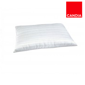 &#x395;&#x3B9;&#x3BA;&#x3CC;&#x3BD;&#x3B1; &#x3B3;&#x3B9;&#x3B1; &#x3C4;&#x3B7;&#x3BD; &#x3BA;&#x3B1;&#x3C4;&#x3B7;&#x3B3;&#x3BF;&#x3C1;&#x3AF;&#x3B1; &#x39C;&#x391;&#x39E;&#x399;&#x39B;&#x391;&#x3A1;&#x399;&#x391;