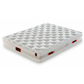 &#x395;&#x3B9;&#x3BA;&#x3CC;&#x3BD;&#x3B1; &#x3B3;&#x3B9;&#x3B1; &#x3C4;&#x3B7;&#x3BD; &#x3BA;&#x3B1;&#x3C4;&#x3B7;&#x3B3;&#x3BF;&#x3C1;&#x3AF;&#x3B1; &#x3A3;&#x3A4;&#x3A1;&#x3A9;&#x39C;&#x391;&#x3A4;&#x391;