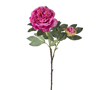 21698 AX453 ΚΛΑΡΙ ΠΑΙΩΝΙΑΣ ΜΕ ΜΠΟΥΜΠΟΥΚΙ 90ΕΚ.BEAUTY