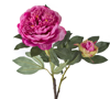 21698 AX453 ΚΛΑΡΙ ΠΑΙΩΝΙΑΣ ΜΕ ΜΠΟΥΜΠΟΥΚΙ 90ΕΚ.BEAUTY
