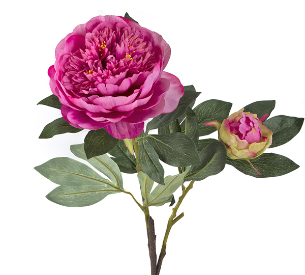 21698 AX453 ΚΛΑΡΙ ΠΑΙΩΝΙΑΣ ΜΕ ΜΠΟΥΜΠΟΥΚΙ 90ΕΚ.BEAUTY