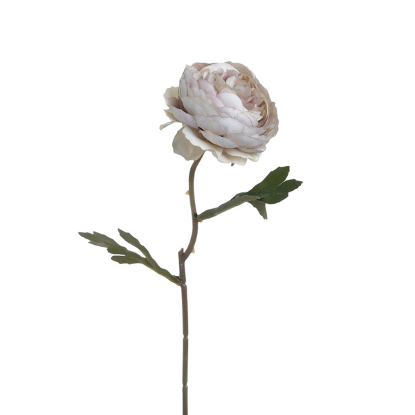 INART ΚΛΑΔΙ/ΛΟΥΛΟΥΔΙ PL ΕΚΡΟΥ/ΜΠΕΖ Υ37