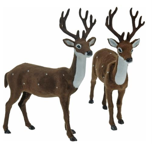 XM297 ΛΟΥΤΡΙΝΟ ΕΛΑΦΙ ΚΑΦΕ 2ΣΧΔ.,39CM