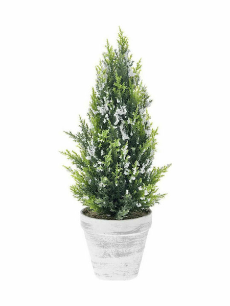 ΧΡ ΧΙΟΝΙΣΜΕΝΟ ΔΕΝΤΡΑΚΙ 15Χ40ΕΚ ΣΕ ΠΗΛΙΝΟ ΚΑΣΠΩ