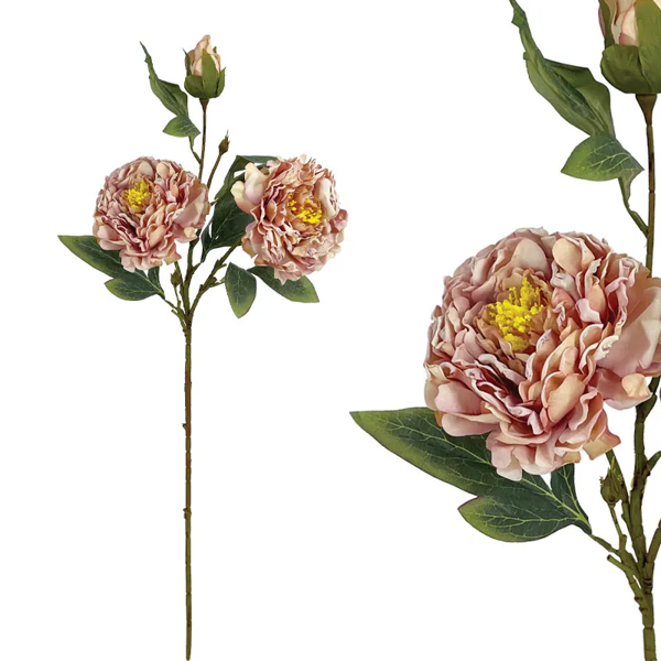 ΣΟΜΟΝ ΠΑΣΤΕΛ  00-10000-6//ΣΟΜΟΝ ΠΑΣΤΕΛ ΚΛΑΔΙ ΠΑΙΩΝΙΑ - Υ71cm 24/144ΚΙΒ