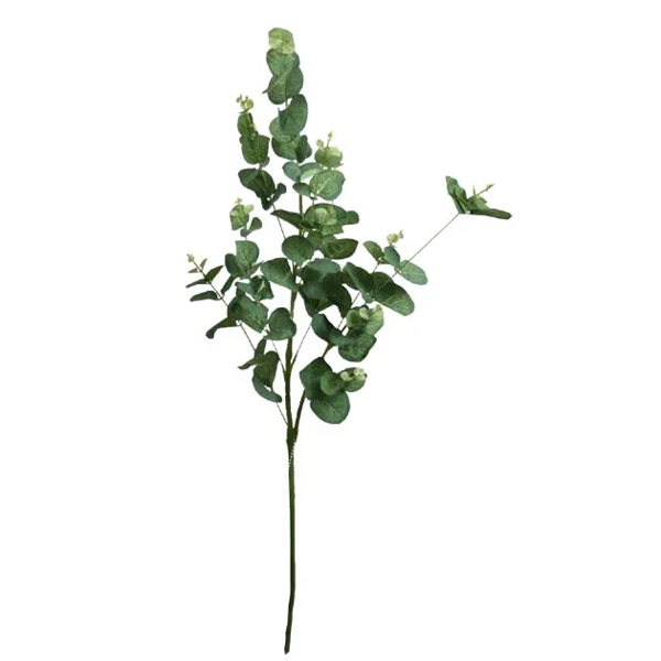 ΠΡΑΣΙΝΟ  14553// ΚΛΑΔΙ ΕΥΚΑΛΥΠΤΟΣ ΠΡΑΣΙΝΟ Y90cm. 24/192 ΚΙΒ