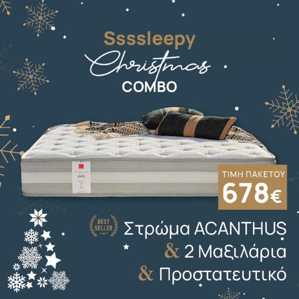 Ssssleepy Christmas COMBO Principal