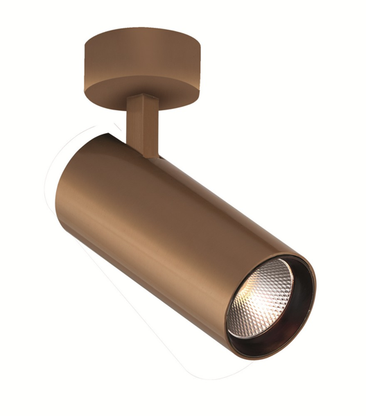 Σποτ Οροφής Χρυσό Nestor